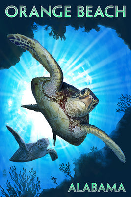 Alabama - Orange Beach - Sea Turtle (46868)