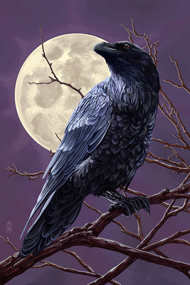 Raven and Moon at Night (47372)