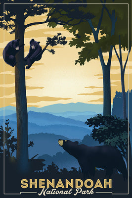 Virginia - Shenandoah National Park - Bear and Cubs