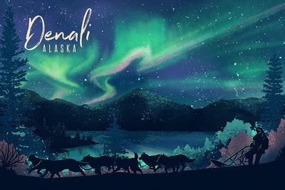 Alaska - Denali - Northern Lights and Sled Dogs
