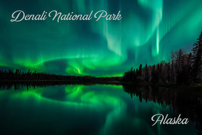 Alaska - Denali National Park - Northern Lights Photo