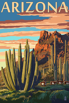 Arizona - Organ Pipe Cactus