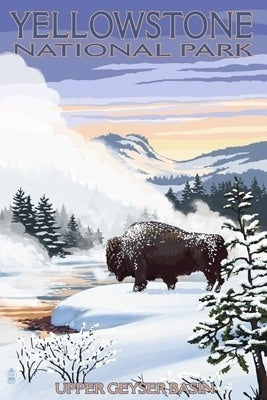Wyoming- Yellowstone National Park - Bison in Snow Scene