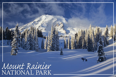 Washington - Mount Rainier National Park - Fox in Winter Photo - 48290